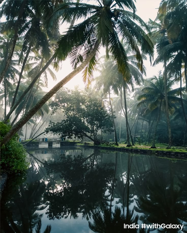 Kerala backwaters