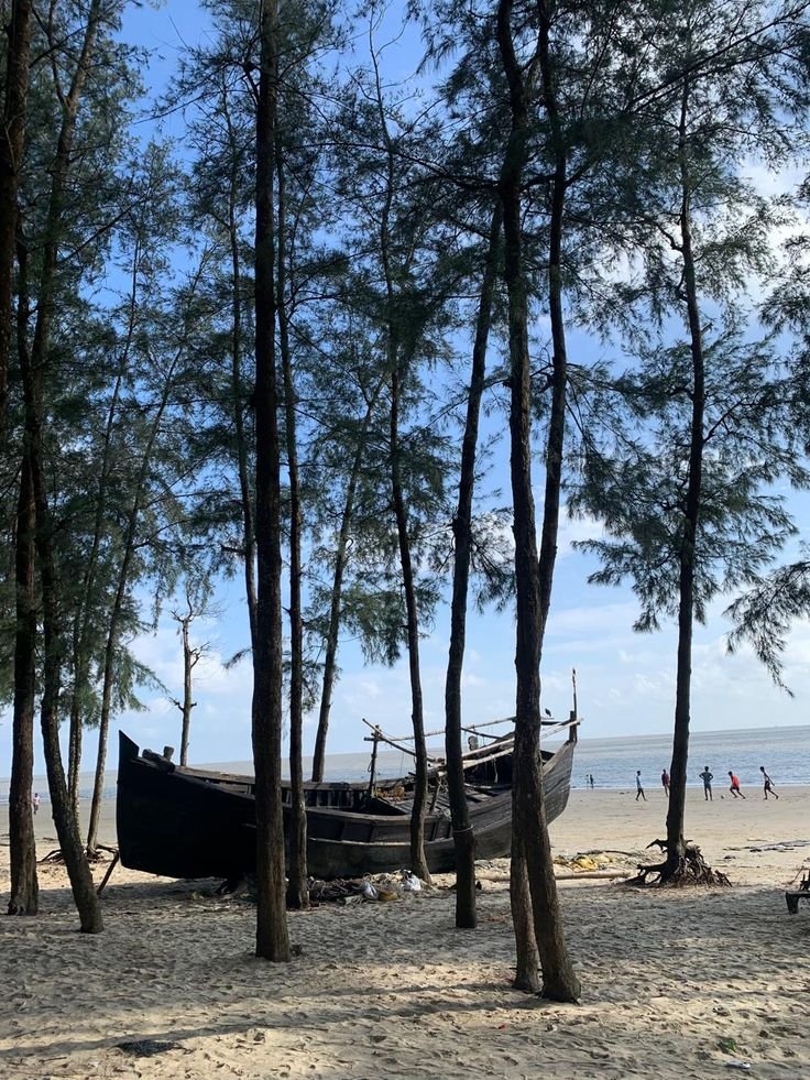 Tropical beach