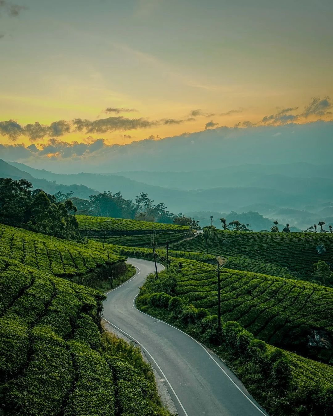 Munnar Kerala hill station