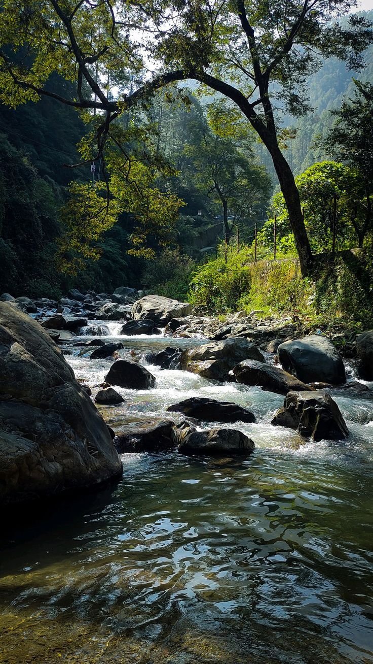 Wayanad Kerala nature and adventure